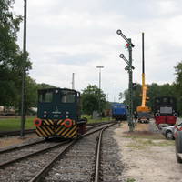 IMG 6155