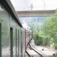 0079554