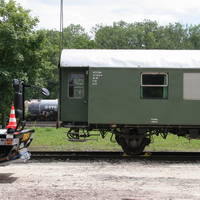 IMG 6234