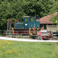 IMG 6477
