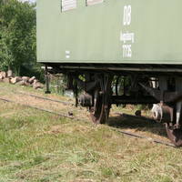 IMG 6484