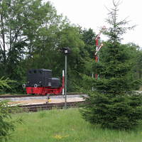 IMG 6197