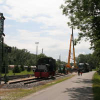 IMG 6303