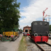 IMG 6363