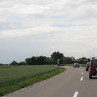 IMG 6408