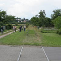 IMG 6429