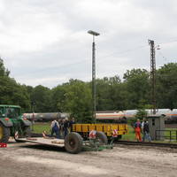 IMG 6184