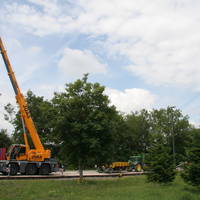 IMG 6287
